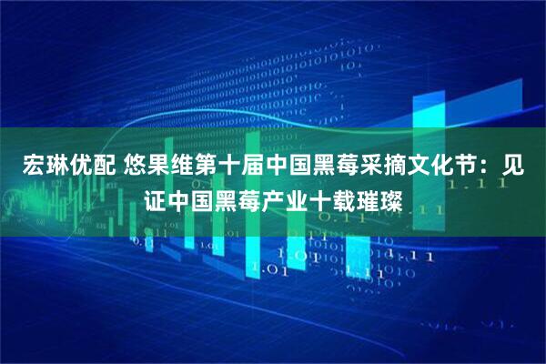宏琳优配 悠果维第十届中国黑莓采摘文化节：见证中国黑莓产业十载璀璨