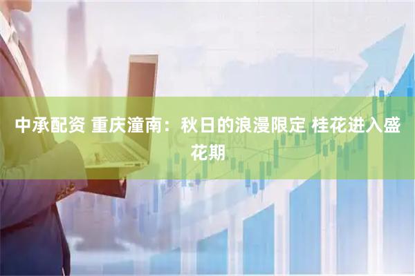 中承配资 重庆潼南：秋日的浪漫限定 桂花进入盛花期