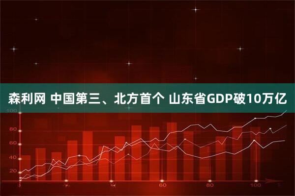 森利网 中国第三、北方首个 山东省GDP破10万亿