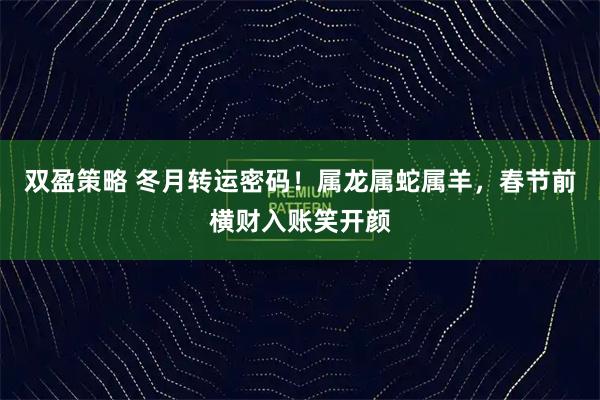 双盈策略 冬月转运密码！属龙属蛇属羊，春节前横财入账笑开颜